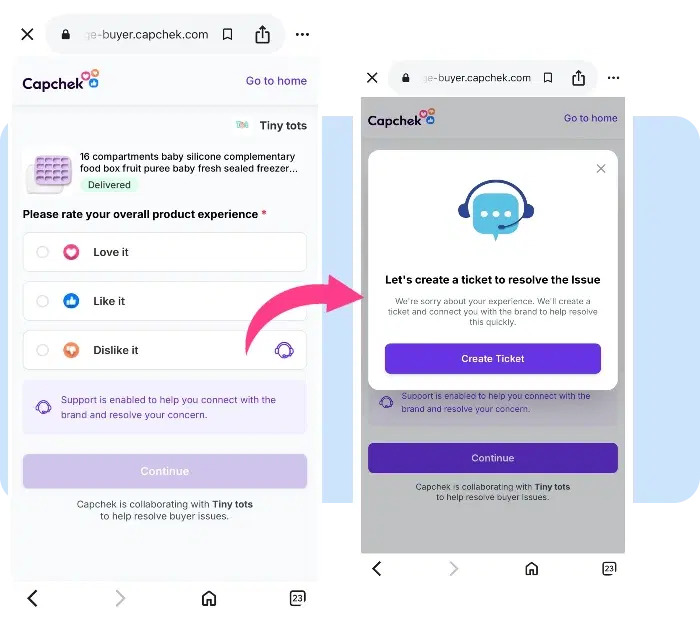 Capchek experience support interface