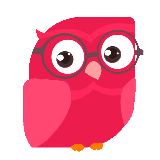 Owl animation